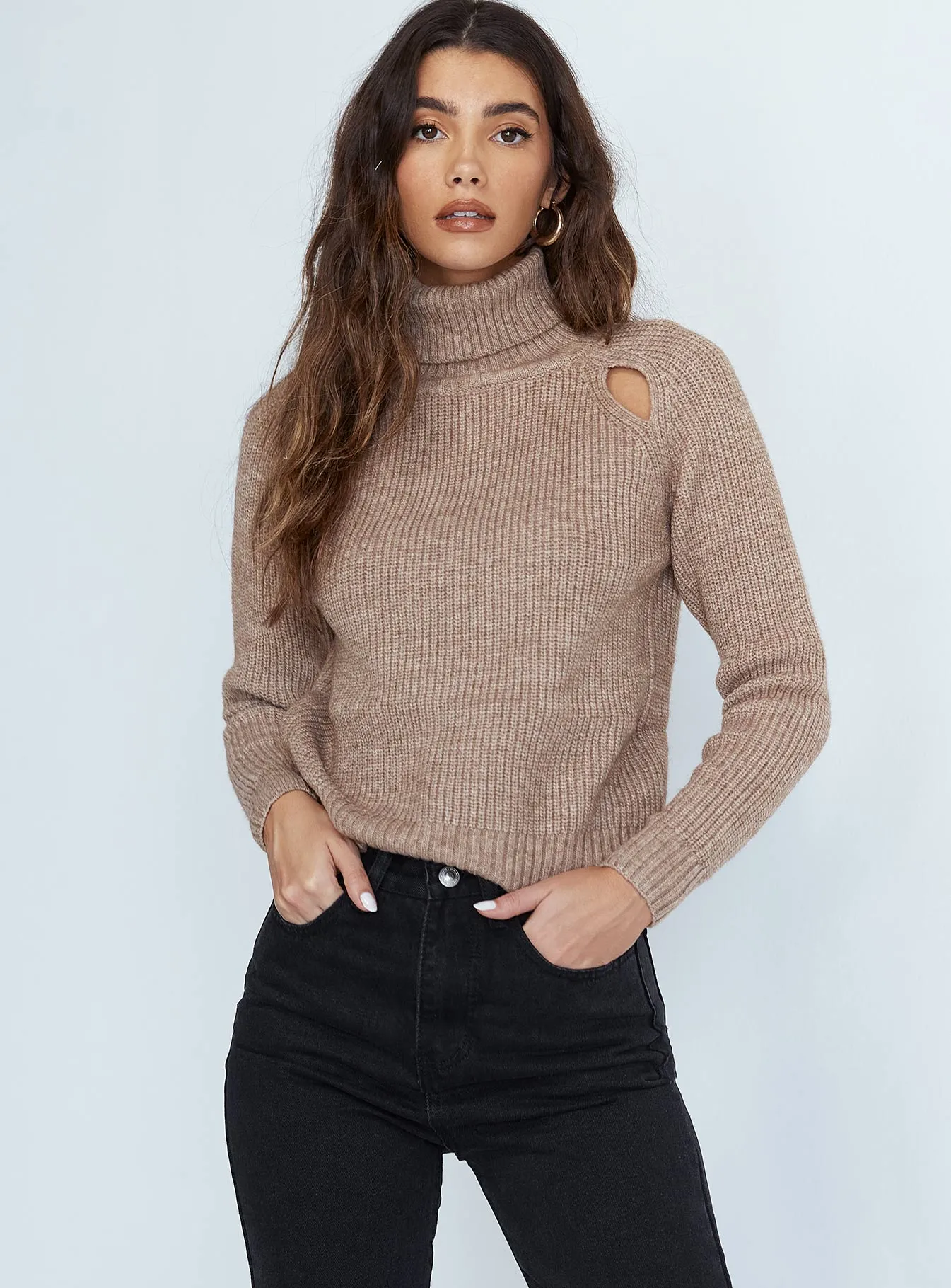 Alexi Turtleneck Sweater Brown