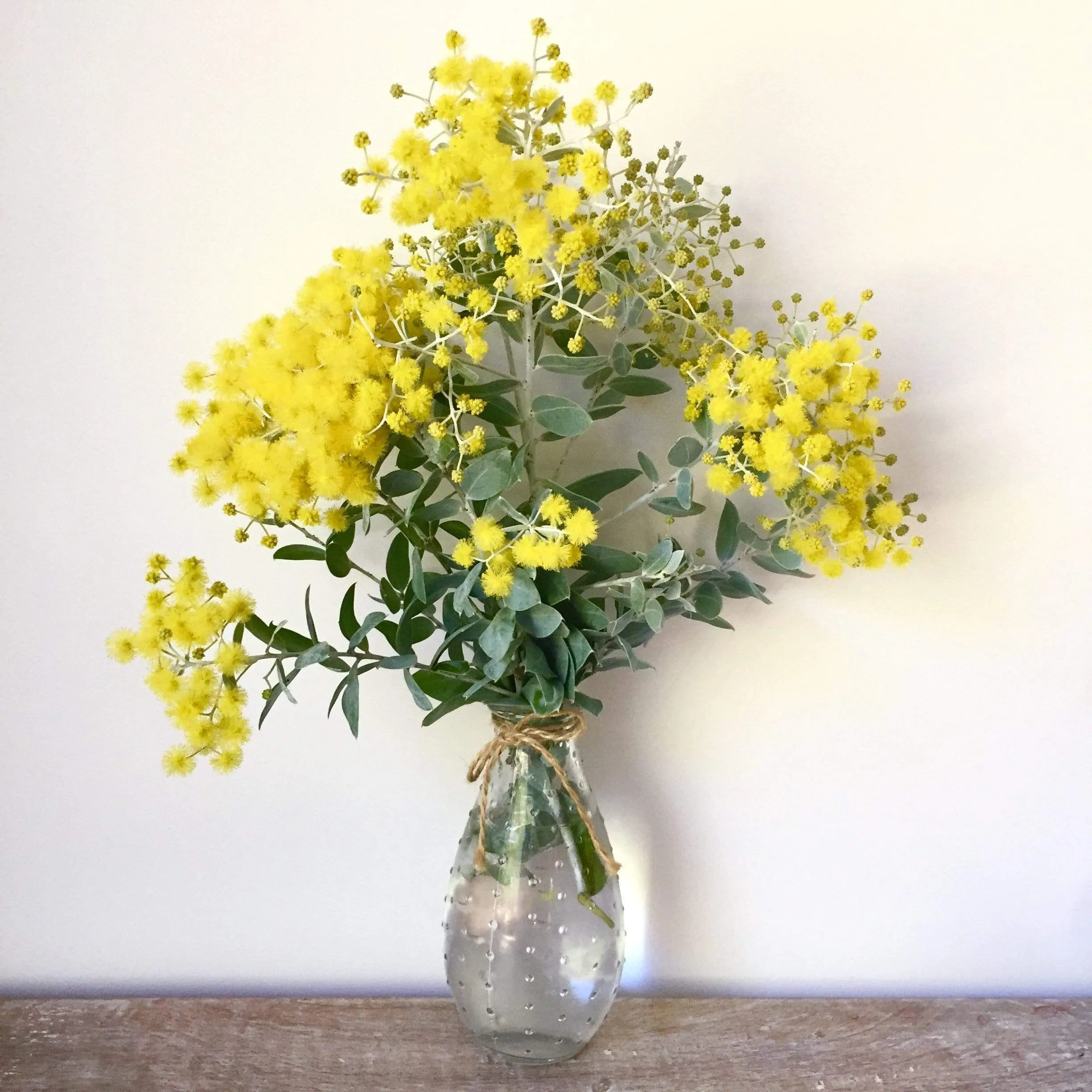 Australian Silver Wattle Scarf