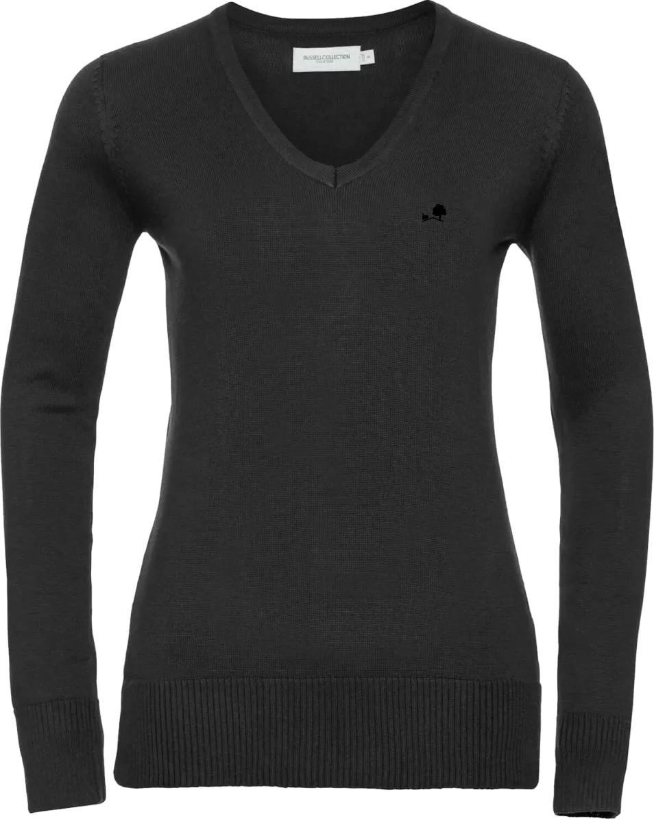 EWIG - Business V-Pullover