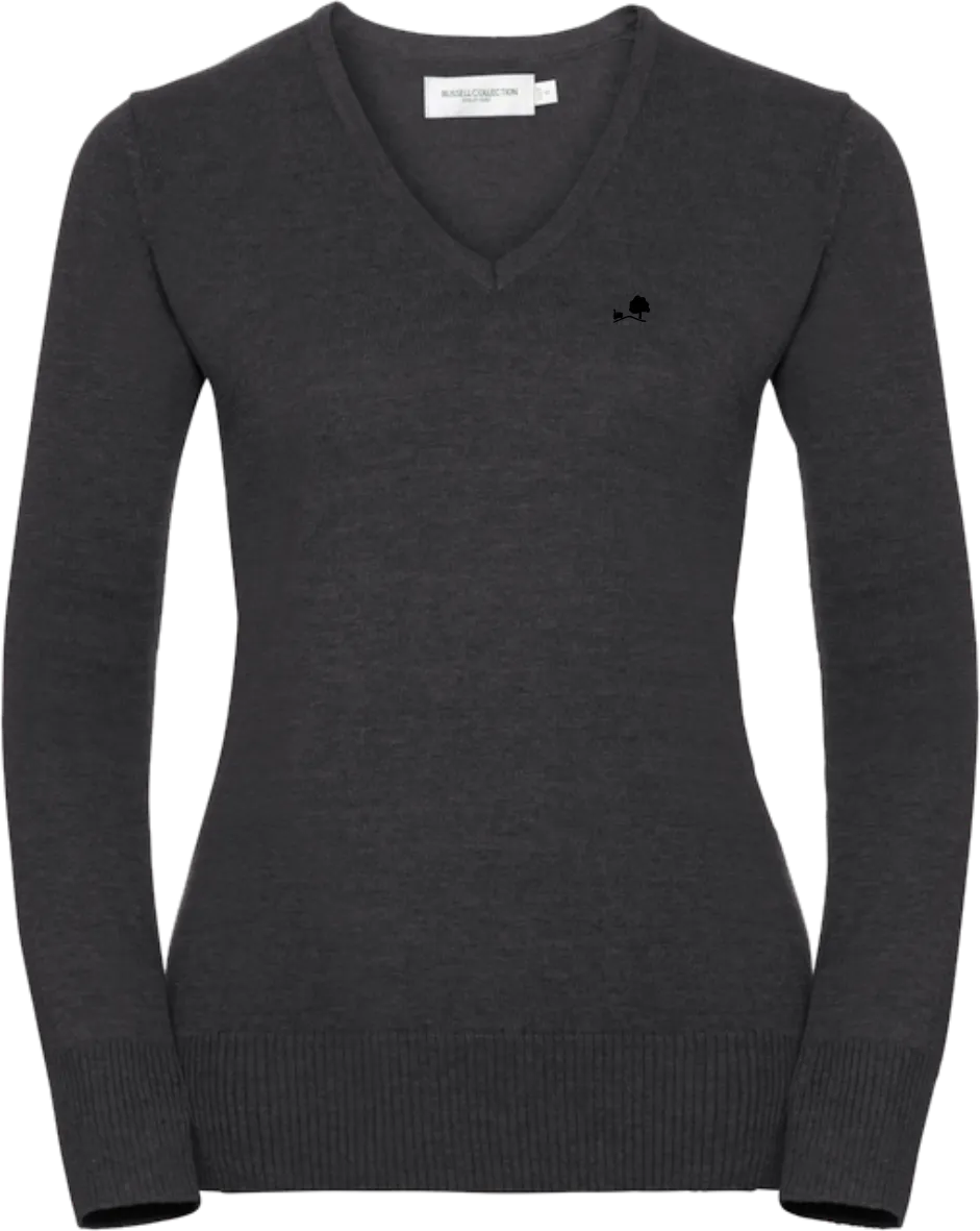 EWIG - Business V-Pullover