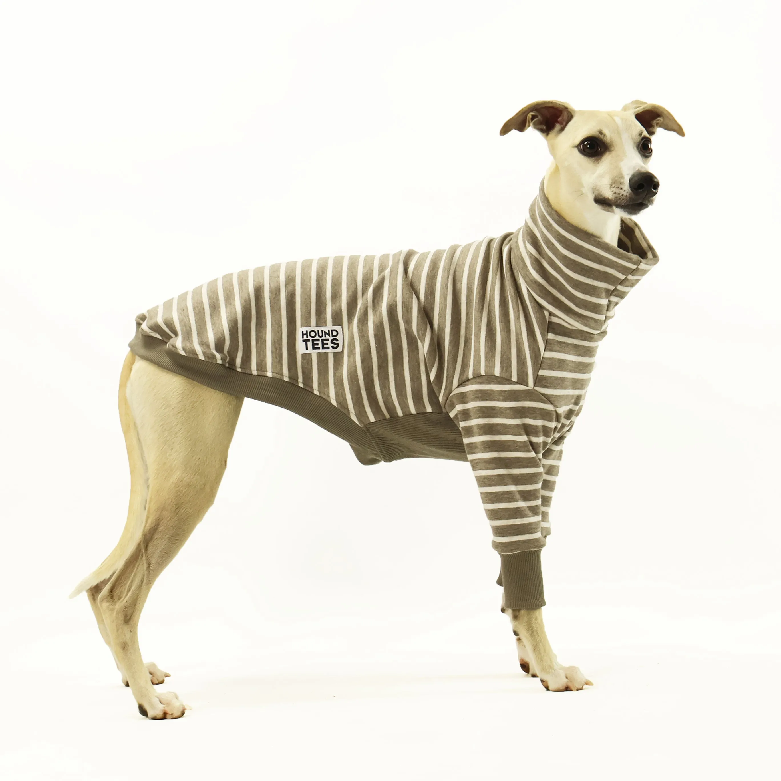 Latte Whippet Sweater