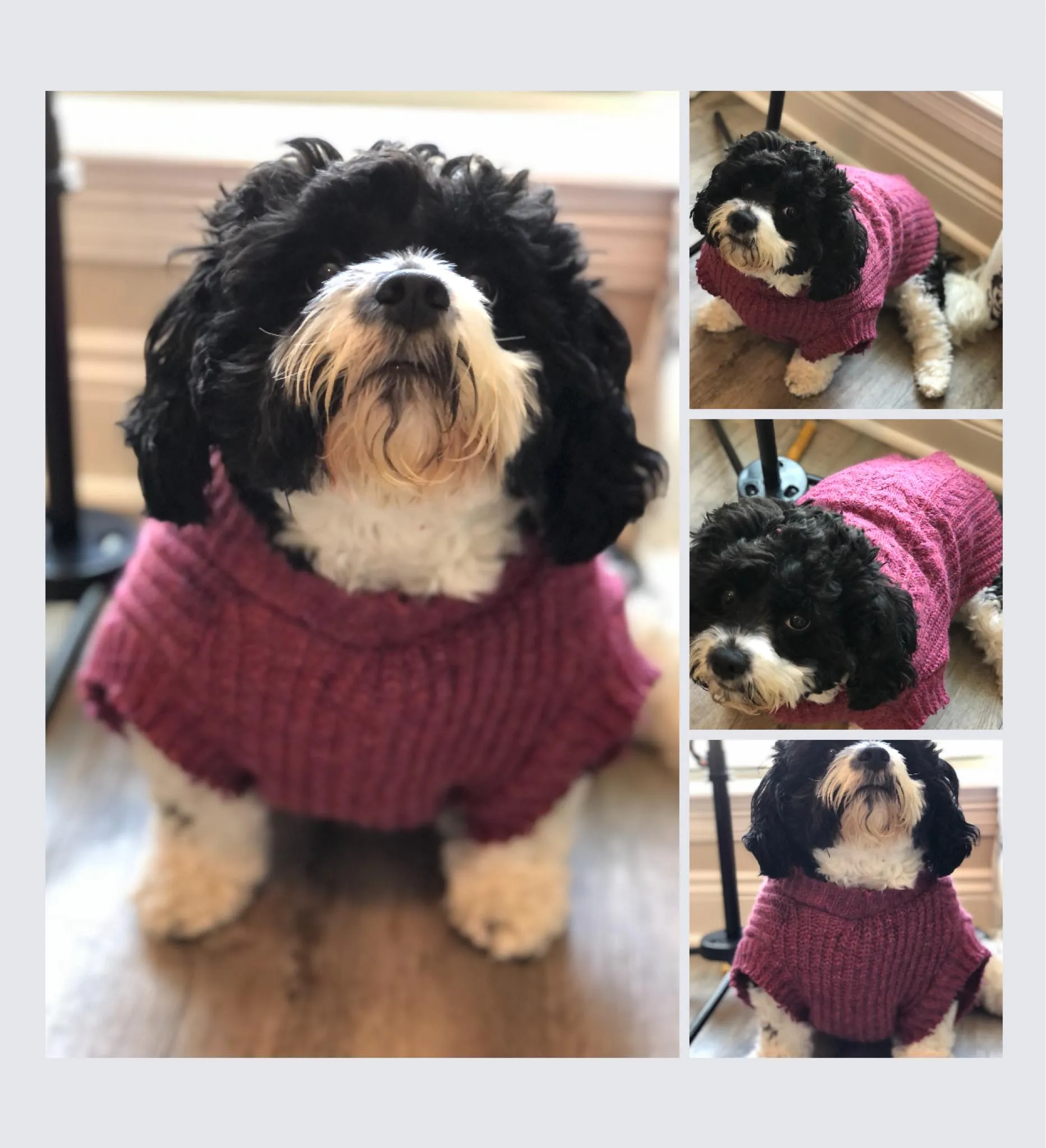 Pet Pullover PDF Sewing Pattern