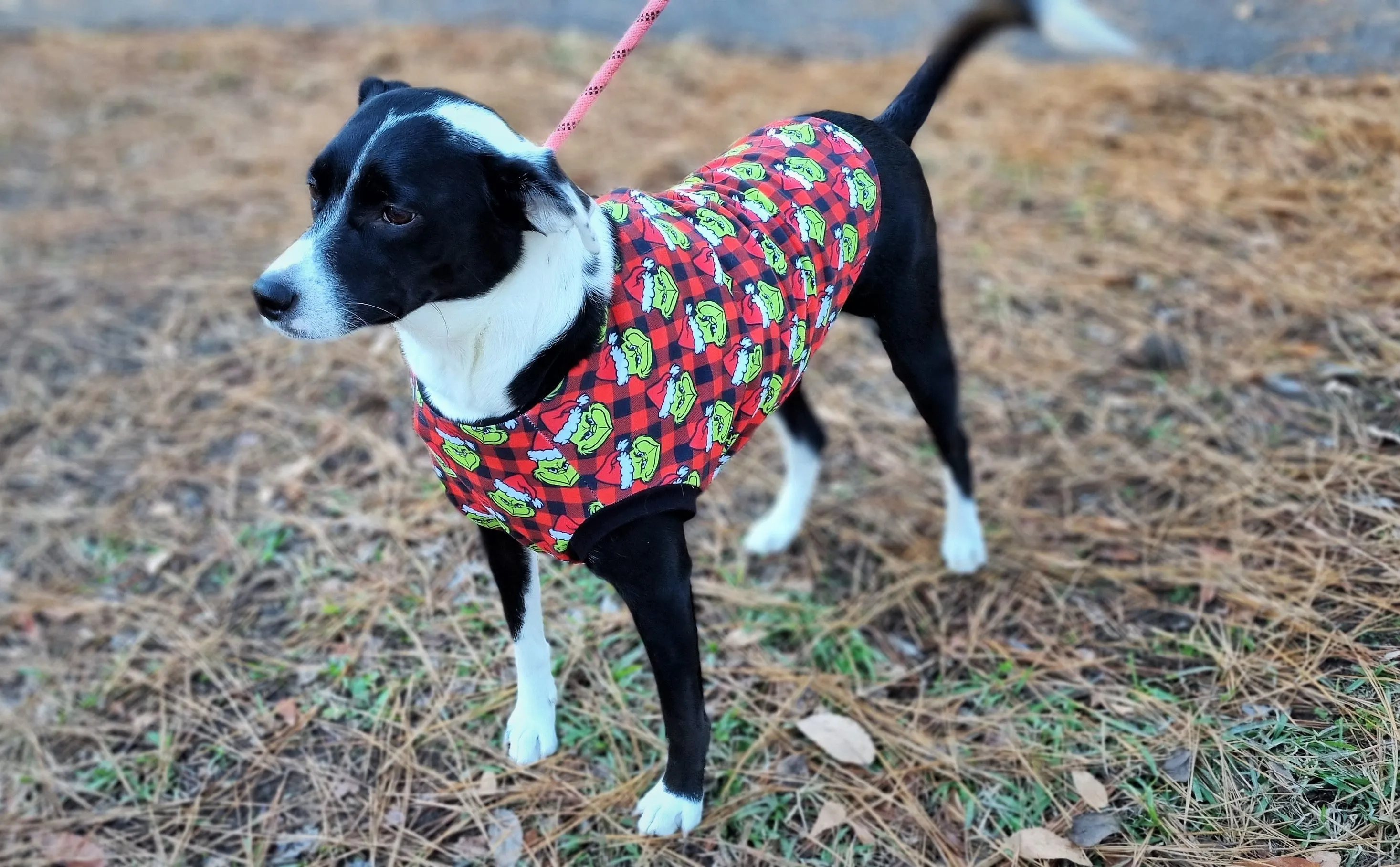 Pet Pullover PDF Sewing Pattern